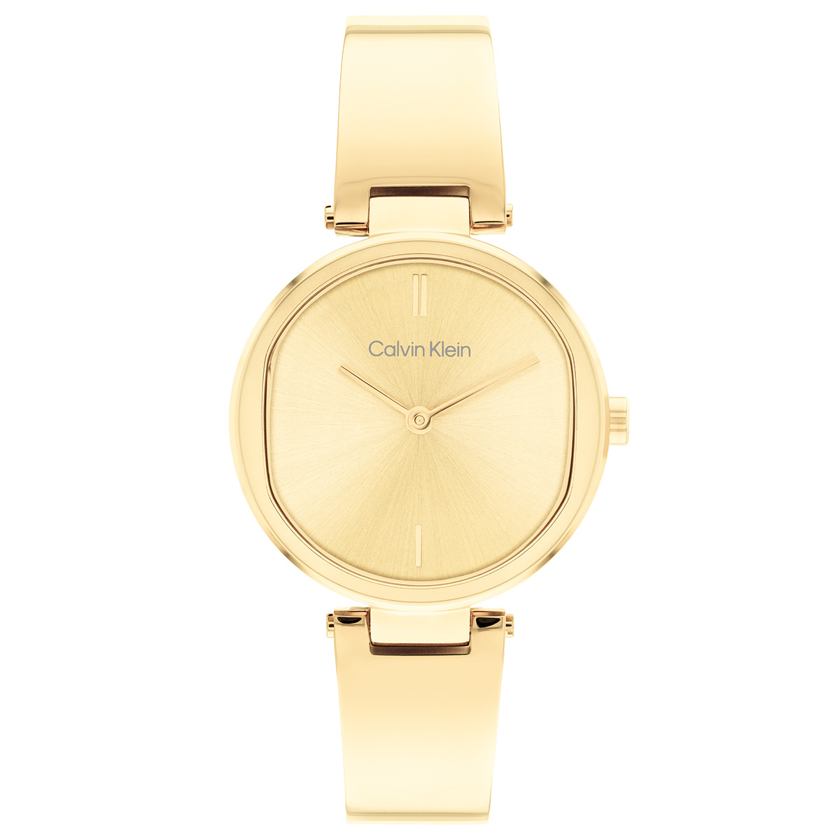 Calvin Klein CK25200309 Kadın Kol Saati